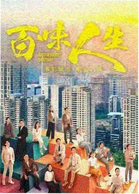 雾港档案 剧集封面